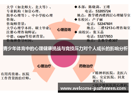 青少年体育中的心理健康挑战与竞技压力对个人成长的影响分析
