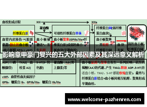 影响意甲豪门复兴的五大外部因素及其深远意义解析